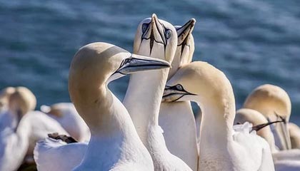 黔东最新的高价医保个人账户余额微信查询方法分享(黔东医保查询个人账户明细怎么查微信教程)