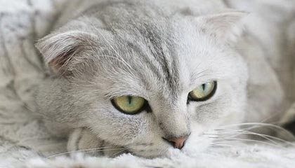 黔东最新的高价医保个人账户余额微信查询方法分享(黔东医保查询个人账户明细怎么查微信教程)