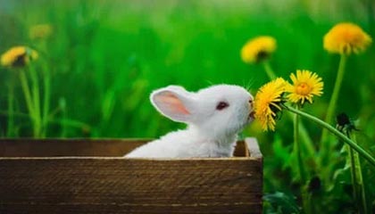 黔东最新的高价医保个人账户余额微信查询方法分享(黔东医保查询个人账户明细怎么查微信教程)